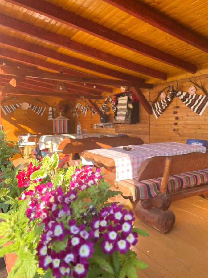 Casa Carmen Otel Dorna Arini Dış mekan fotoğraf